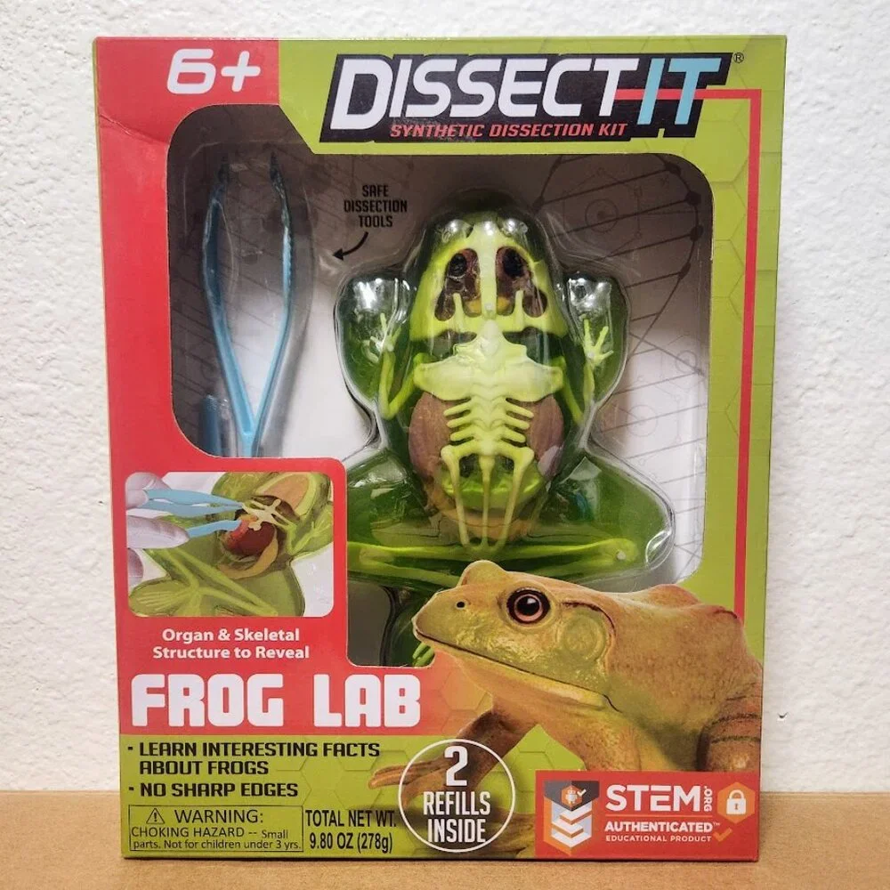 NEW Dissect-it Synthetic Lab Dissection Toy STEM KIT CRAFT Project Frog Biology